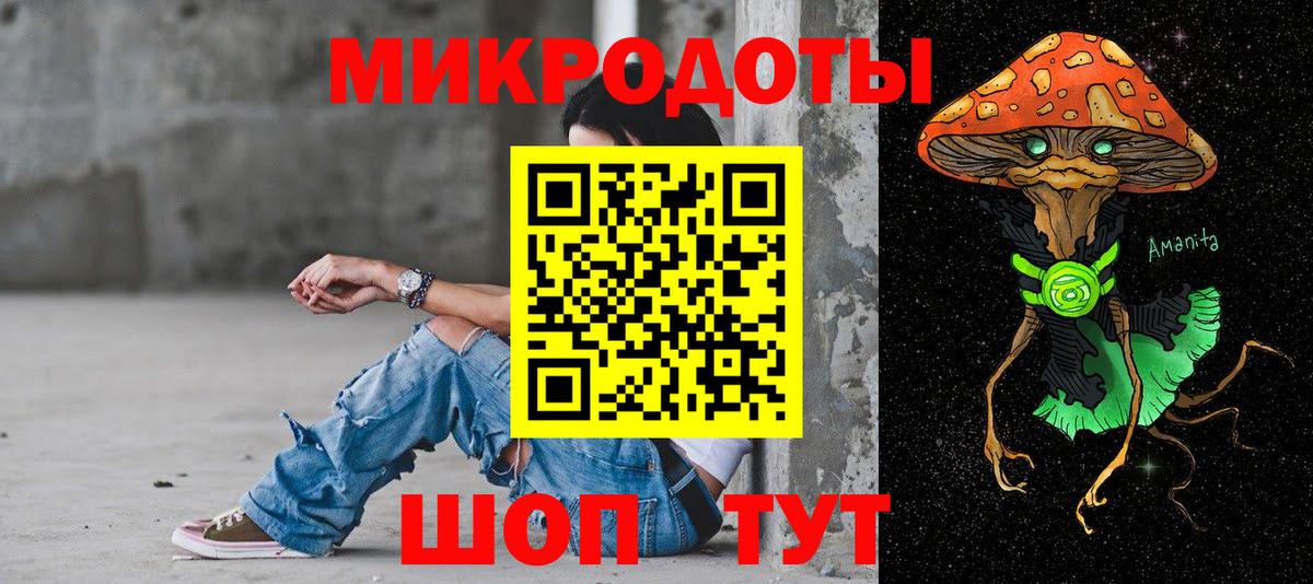 Псилоцибиновые грибы Psilocybe  купить наркотики цена  Грязи  Вход с VPN 