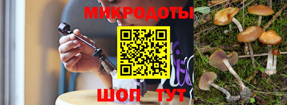 Галлюциногенные грибы Cubensis Грязи